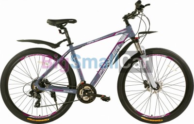 Горные велосипеды PIONEER NAVIGATOR 29 AL/17 gray-silver-wine - купить Верхнеяиково